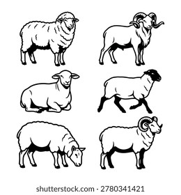 Simple Black and White Sheep Line Art Collection with Ram Ewe Suffolk Sheep in Various Poses Minimal Farm Animal Vector Illustration Set