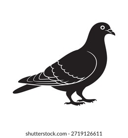 A simple black and white silhouette of a common pigeon in profile