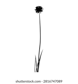 Simple black and white silhouette of a tall palm tree with grass at the base, emphasizing minimalism and natural elegance.