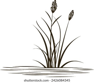 A simple Black and white vector drawing of Frogs, Pond, Nature, Water Lilly