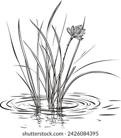 A simple Black and white vector drawing of Frogs, Pond, Nature, Water Lilly