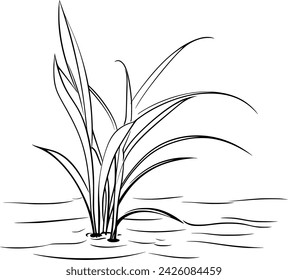 A simple Black and white vector drawing of Frogs, Pond, Nature, Water Lilly