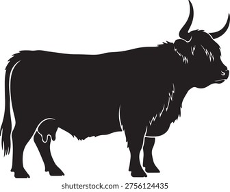 Simple black and white vector of highland cow. Standing position, showing full body, side view. Isolated graphic illustration.