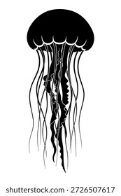 Simple Ilustración vectorial en blanco y negro que representa una medusa elegante con largos tentáculos