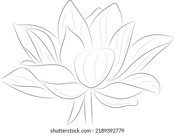 A simple black and white vector line pattern of a flower on a white background. Lotus flower.