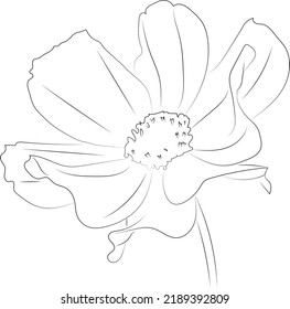 A simple black and white vector line drawing of a flower on a white background.