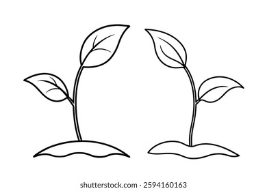 A simple black-and-white line art illustration of two growing plant sprouts with leaves. Perfect for educational materials, botanical studies, gardening guides, and eco-friendly designs.