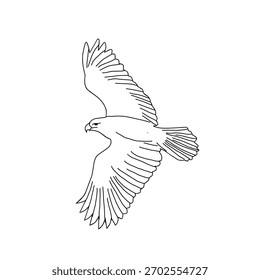 A simple, black-and-white line drawing of a hawk or eagle soaring, viewed from the side-front, with its large wings outstretched in flight against a blank white background.