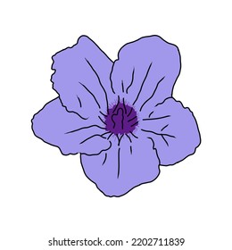 simple blooming flower vector drawing