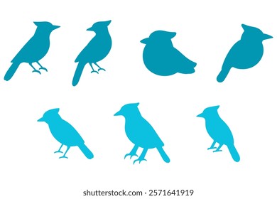 Simple Blue Jay Bird Illustration Design Set