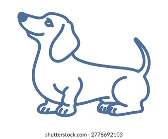 A simple blue line drawing depicts a dachshund, a long-bodied dog breed, isolated on a white background. This is a vector illustration.