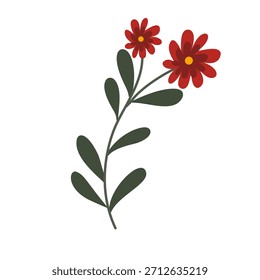 Simple botanical floral element perfect for holiday designs