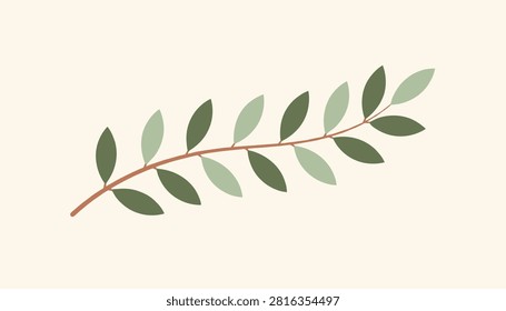 Simple botanical illustration of a single green leafy branch with detailed foliage on a warm cream-colored background.
