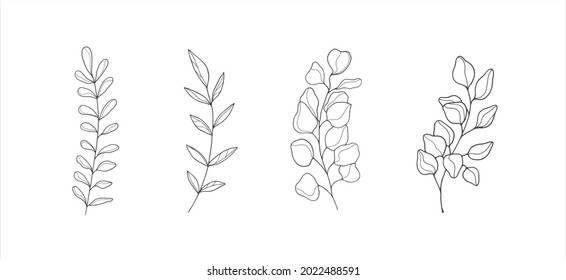 simple botanical illustrations, line artwork, minimal design elements. elegant and delicate plant doodles for branding, wedding invitation, graphic design. spring floral clip art , 