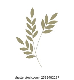 Simple botanical leaf boho aesthetic