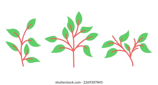 Simple botanical leaves branches with twig