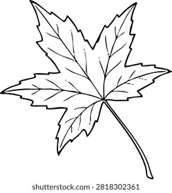 Simple botanical maple leaf