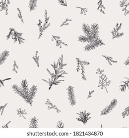 Simple botanical seamless pattern with evergreens. Winter background. Vector illustration. Black and white.
