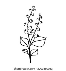 Simple botanical sketch of wild field plant,meadow grass.Vector graphic.