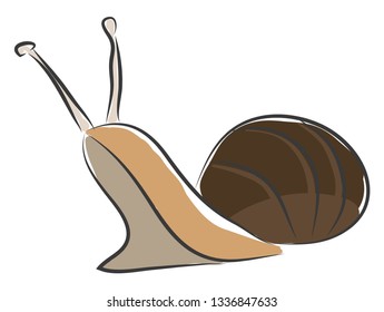 Simple bown snail vector illustration on white background.