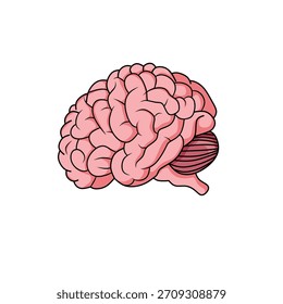 Ilustración de Imagen cerebral simple en formato EPS
