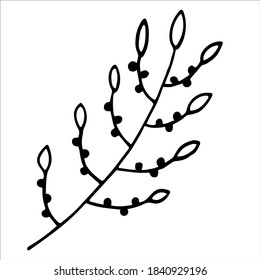 Simple branch with leaves and berries, isolated hand drawn black and white vector illustration on white background