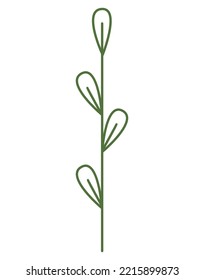 A simple branch with leaves, buds. Outline linear style, doodle drawing isolated on white background. Floral element, straight stem, handy for making vector brushes. Green twig logo, design element