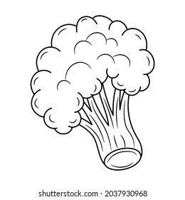 Simple Broccoli, With Hand Drawn Outline Vector Illustration