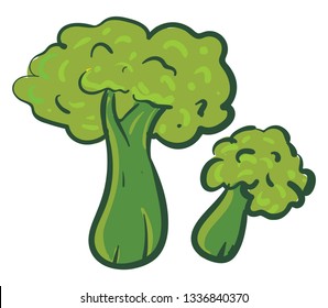 Simple broccoli vector illustration on white background.