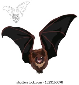 Simple Brown flying bat vector with outline