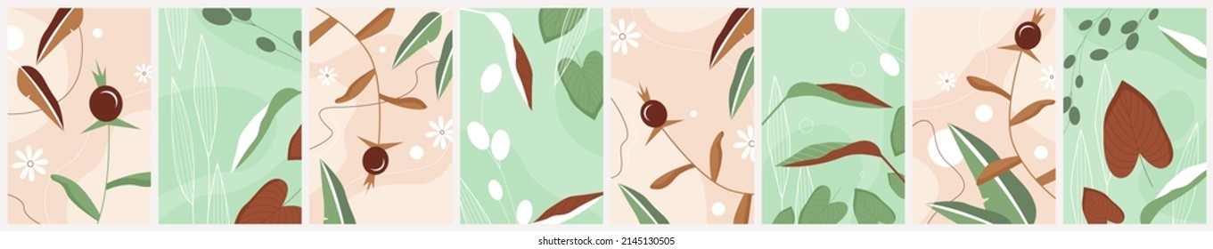 Simple brown rose hip, chamomile flower and green leaf patterns set vector illustration. Botanical texture collection, wild with berry on branch, grass and plants, botany decorative background