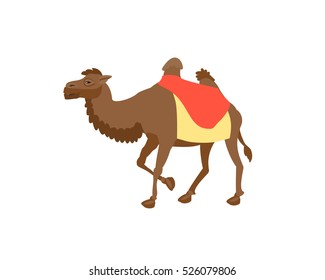 Simple brown two hump  camel illustration in vector
