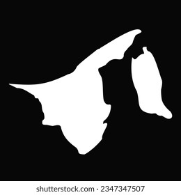 Simple Brunei Map Isolated on Black Background, can be used for business designs, presentation designs or any suitable designs.
