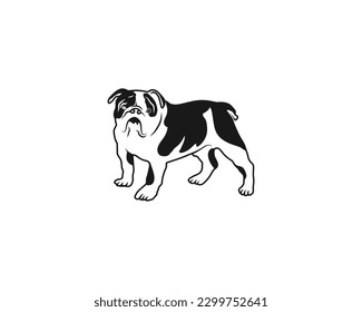 Simple bulldog vector Design. vector illustration.