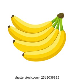 Simple bunch of banana vector and high quality illustration 