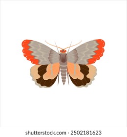 Simple Butterfly's Vector Illustration, art, and vibrant colors symbolize transformation
