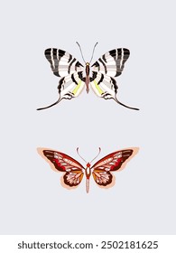 Simple Butterfly's Vector Illustration, art, and vibrant colors symbolize transformation