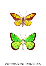 Simple Butterfly's Vector Illustration, art, and vibrant colors symbolize transformation