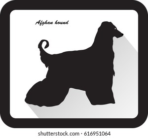 Simple button vector dog. Symbol illustration. Flat color icon black on white background, breed Afghan hound