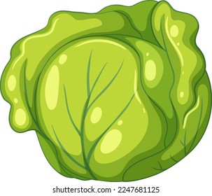 Simple cabbage cartoon isolated illustration