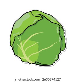 La Ilustración vectorial de repollo simple se puede utilizar para pegatinas