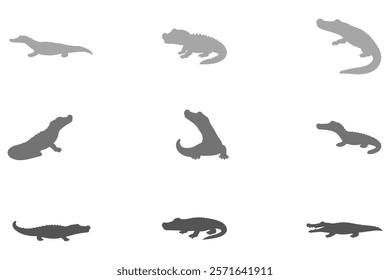 Simple Caiman Illustration Design Set