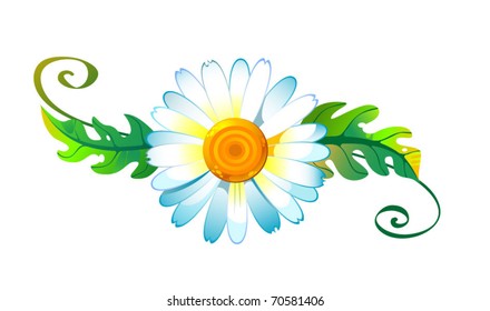 Simple camomile with two leaves. Yellow core with white petals and green sectile leaves. Simple object on white background.