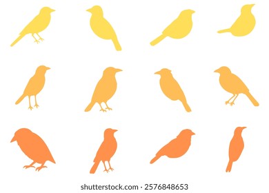 Simple Canary Bird Illustration Design Set