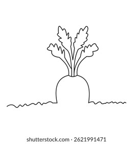 Simple Carrot Line Art Illustration