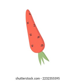 zanahorias simples en un fondo blanco. ilustración vectorial