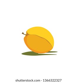 Dibujo vectorial simple de albaricoque en fondo blanco