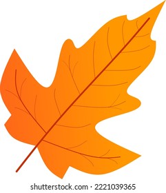 simple cartoon autumn leaves, vector illustration