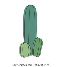Simple cartoon cactus, desert plant illustration