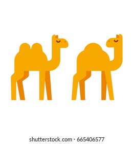 Simple cartoon camel illustration in flat geometric style. One humped dromedary and two-humped camel. Vector clip art.